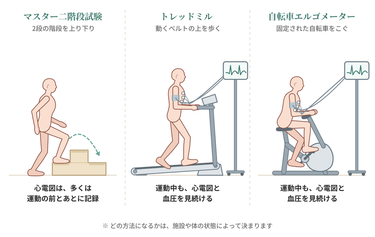 運動負荷心電図のおもな3つの方法を描いた図。2段の階段を上り下りするマスター二階段試験（心電図は多くは運動の前とあとに記録）、動くベルトの上を歩くトレッドミル、固定された自転車をこぐ自転車エルゴメーター（どちらも運動中も心電図と血圧を見続ける）